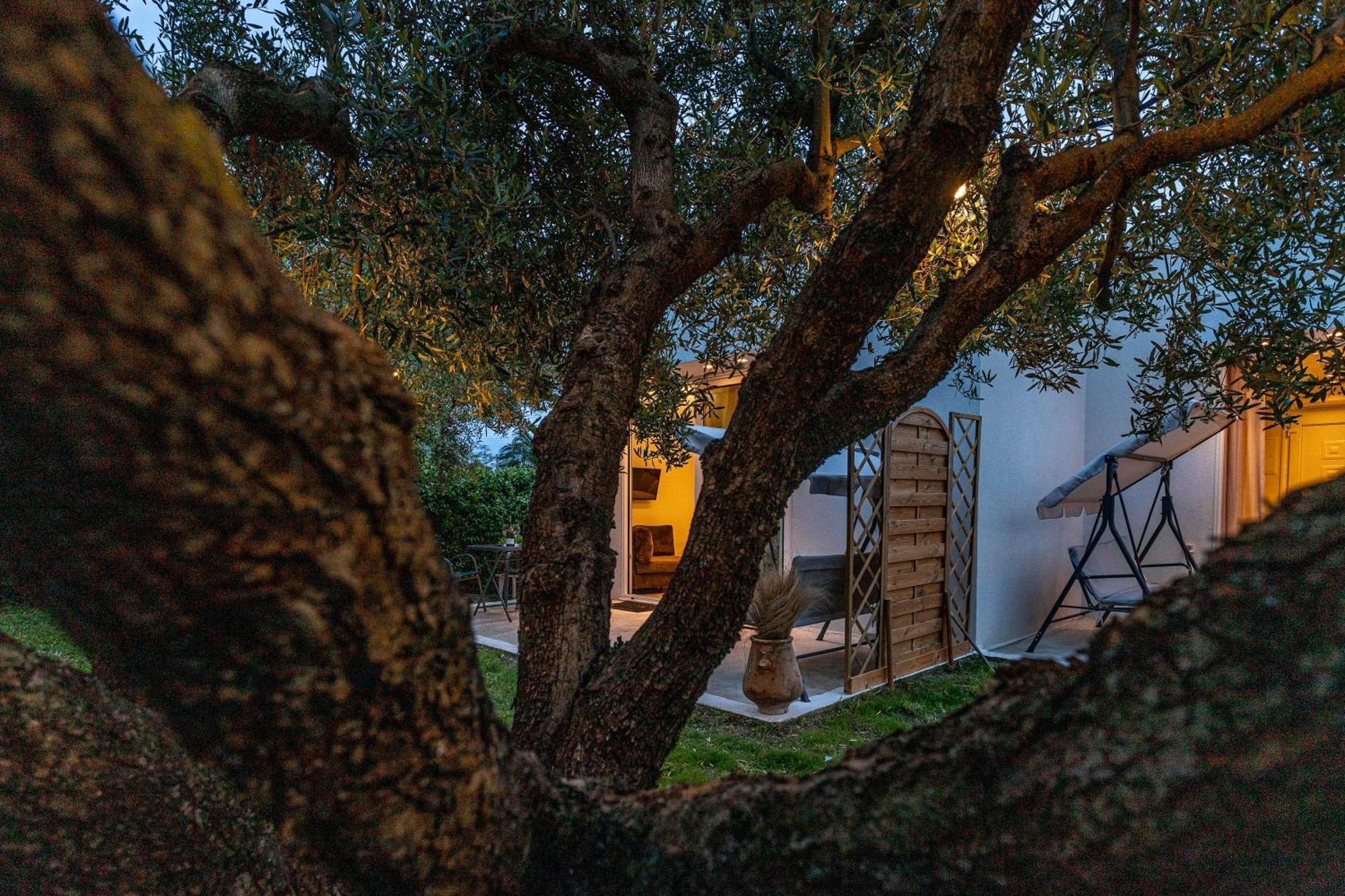 Mellagia Suites Kassandreia Εξωτερικό φωτογραφία