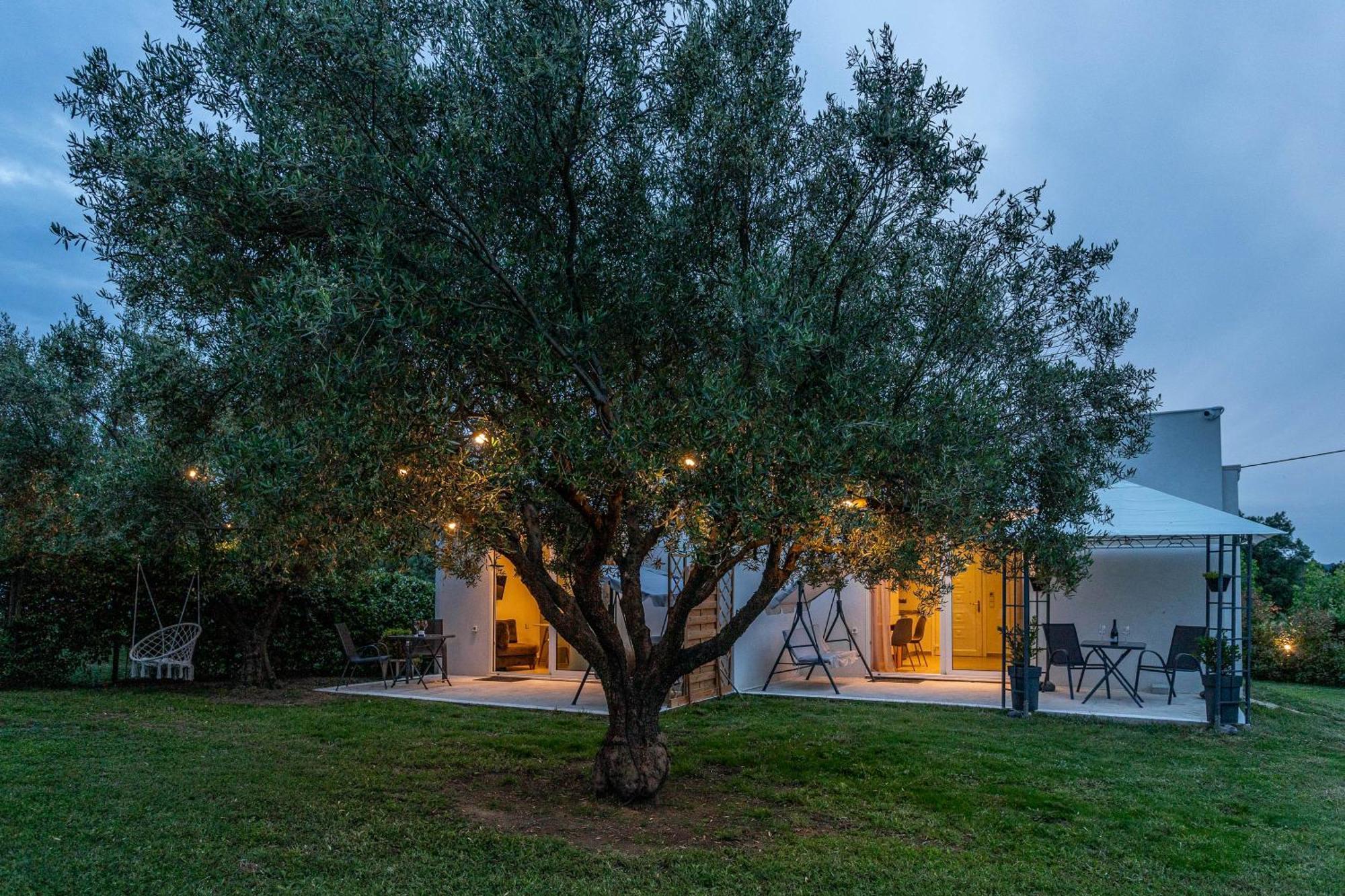 Mellagia Suites Kassandreia Εξωτερικό φωτογραφία